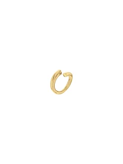 Spiraalring van verguld staal