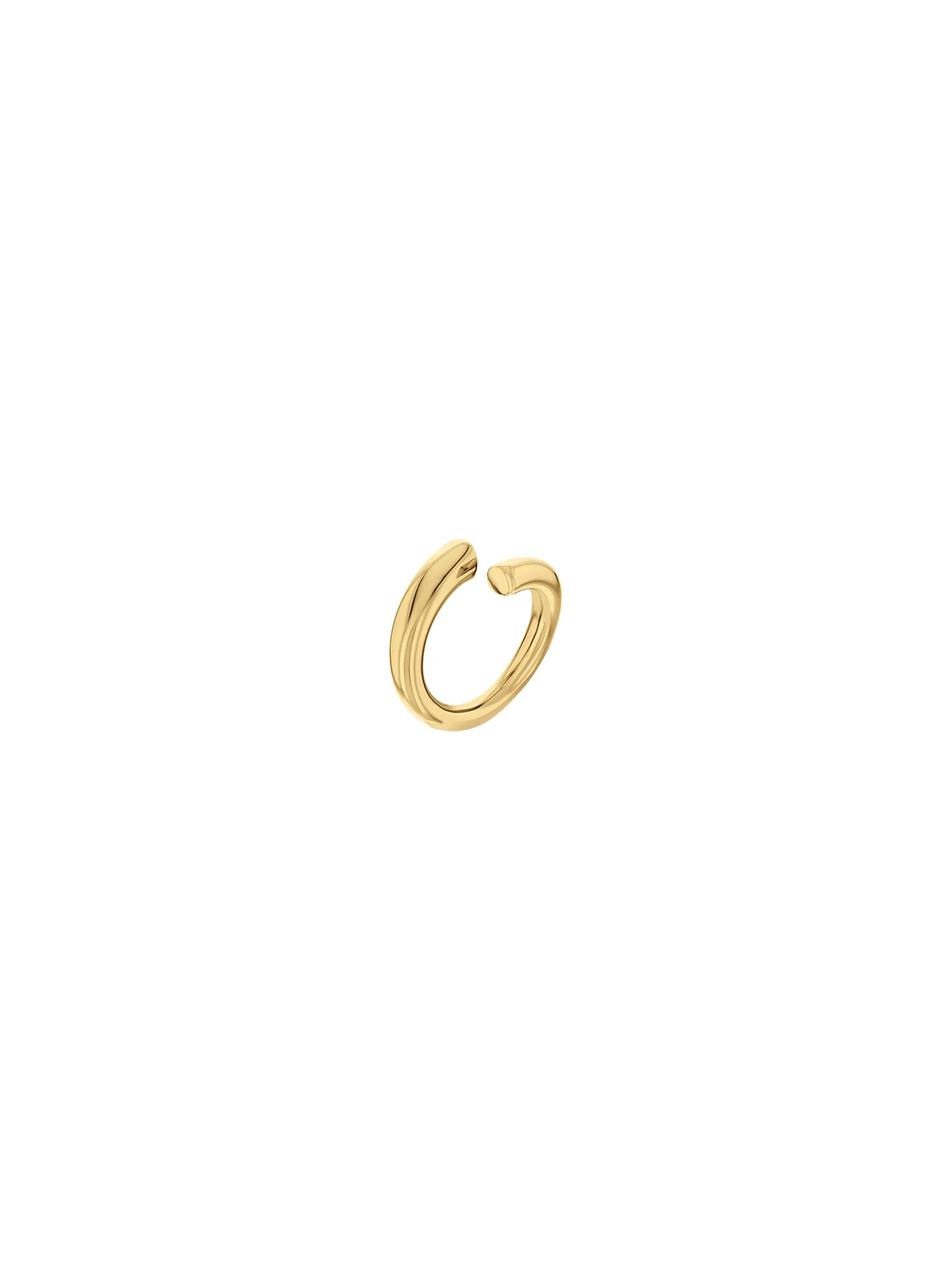 Spiraalring van verguld staal