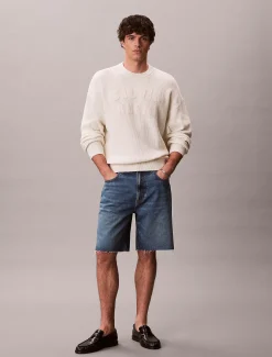 90's relaxte denim short